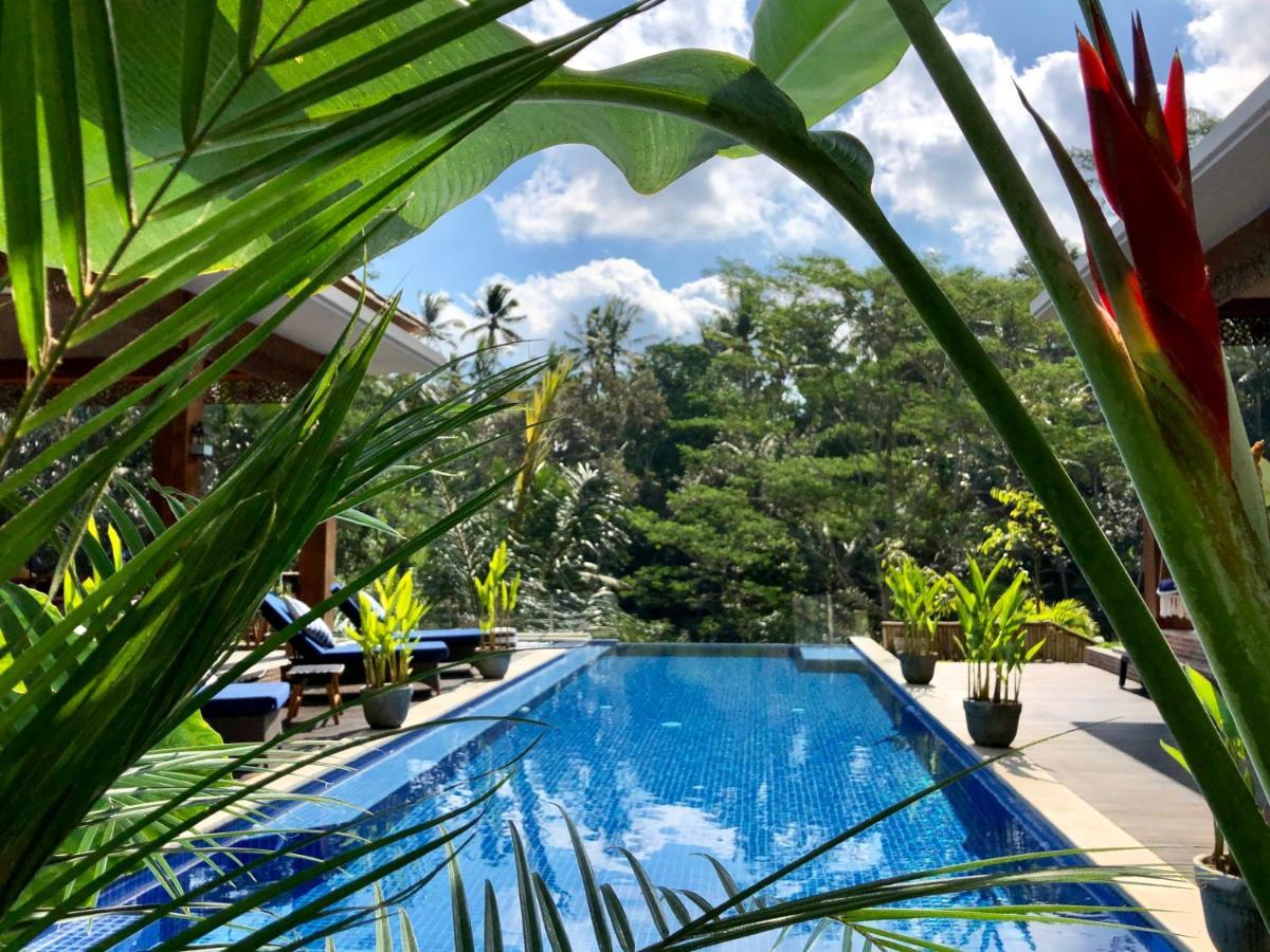 Hotel Puri Kasih Gottlieb Ubud Exterior foto