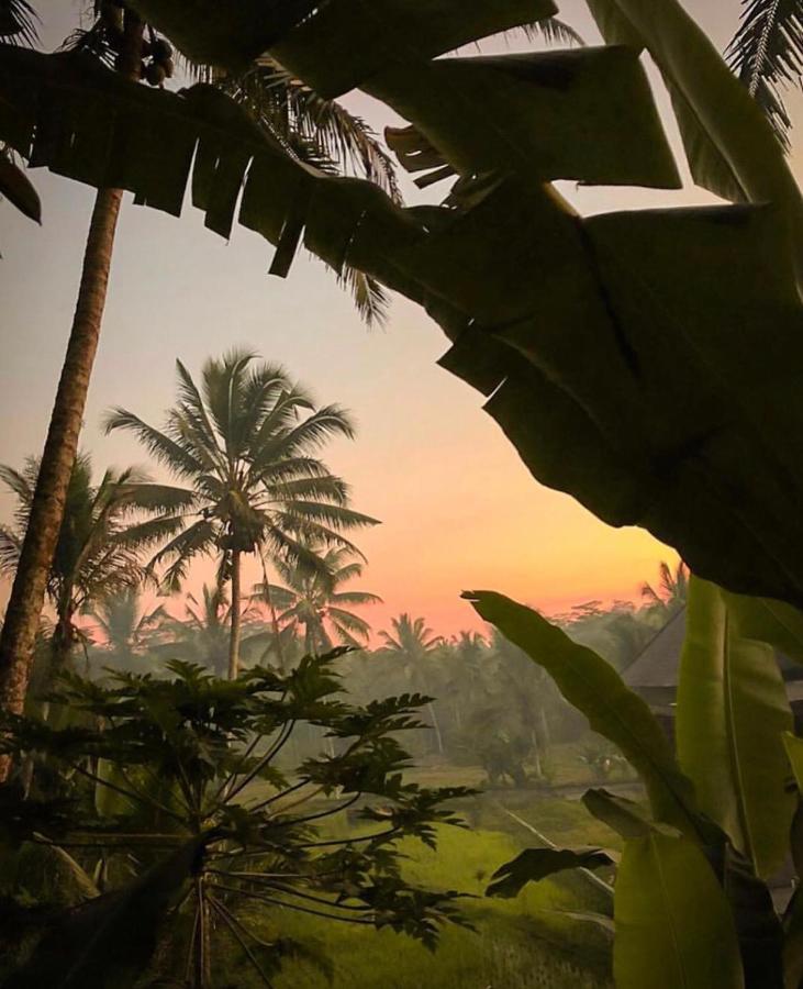 Hotel Puri Kasih Gottlieb Ubud Exterior foto